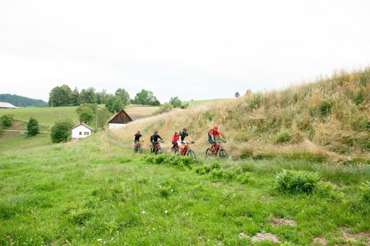 Gasthof Zum Moosmann - Familie Pachernigg Arnfels Exterior photo